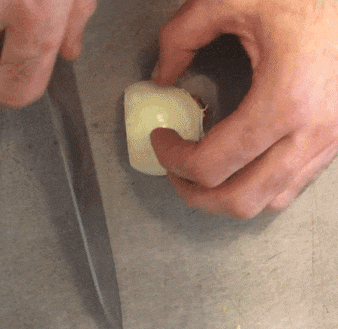 This image has an empty alt attribute; its file name is vertical-onion-slice.gif