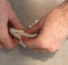 This image has an empty alt attribute; its file name is vertically-cut-onion-slices.gif