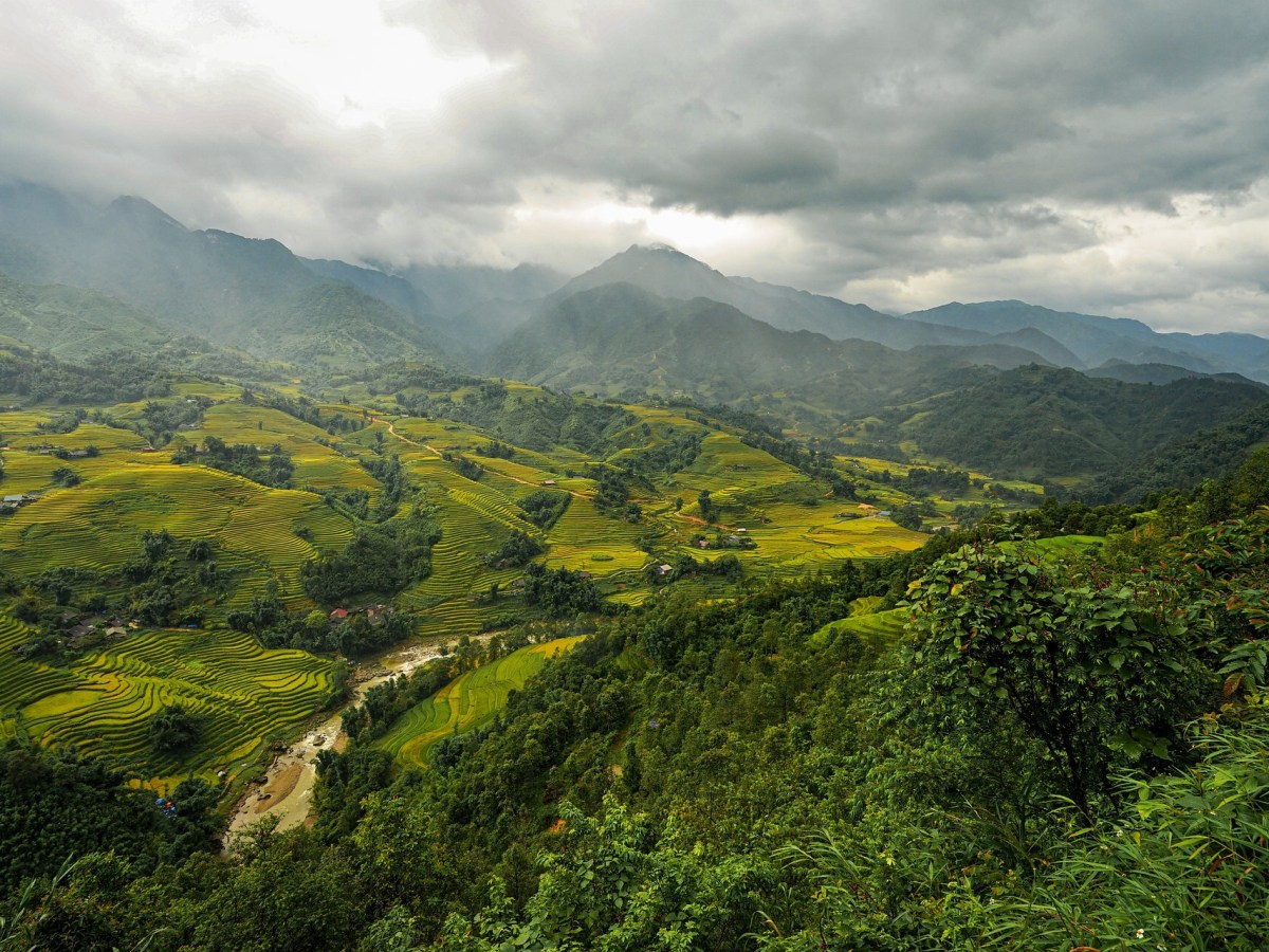 Prep guide; how to get perfect rice every&nbsp;time